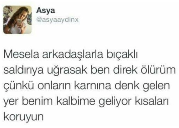 7e16b32aacc58529a8aedf81e2d5765a.jpg