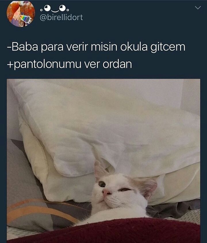 Klasik Baba Modeli