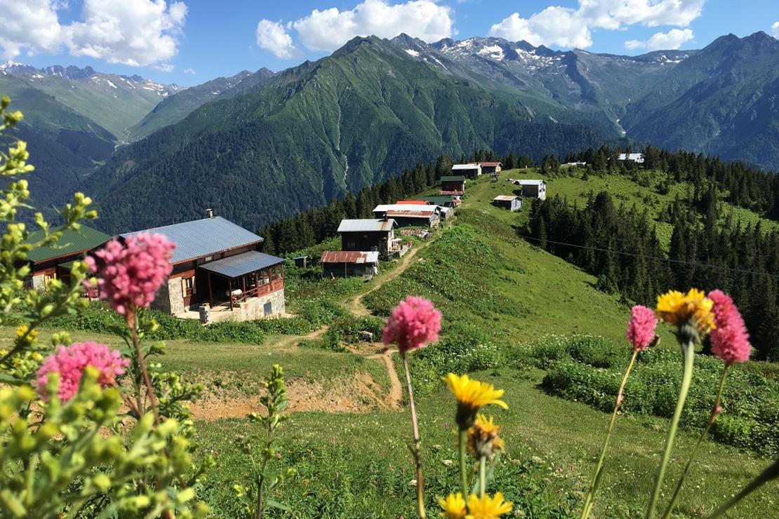 Pokut Турция